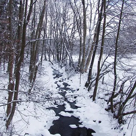 & Restaurant Westerwaldgrill Hotel Höhn