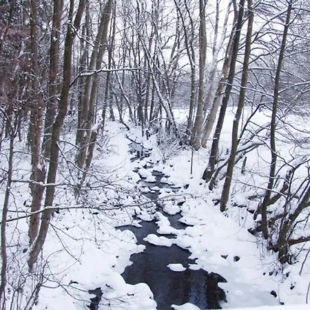 & Restaurant Westerwaldgrill Höhn