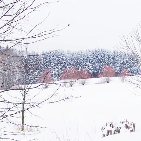 & Restaurant Westerwaldgrill Hotel