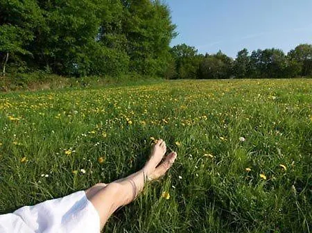 & Restaurant Westerwaldgrill 3*