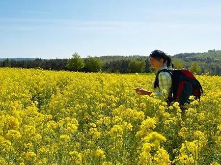 & Restaurant Westerwaldgrill 3* Höhn