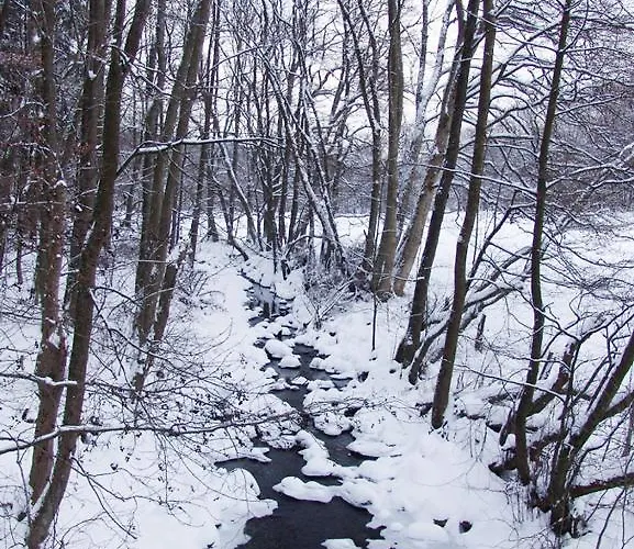 & Restaurant Westerwaldgrill Hotel Höhn