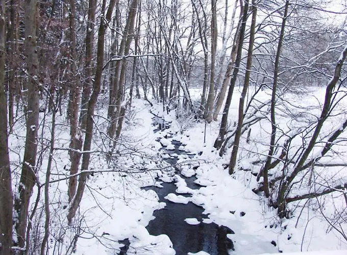 & Restaurant Westerwaldgrill Höhn