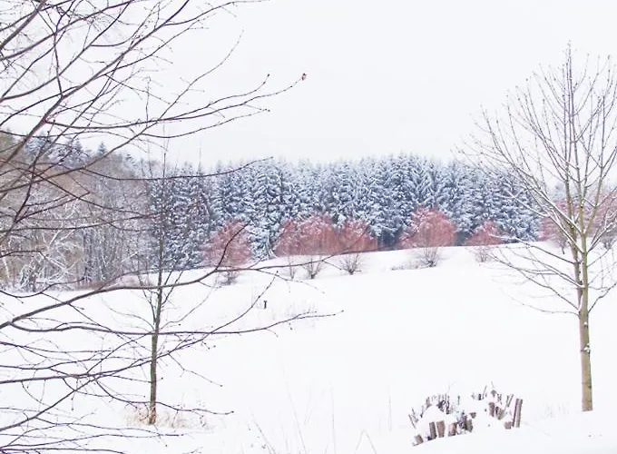 & Restaurant Westerwaldgrill Hotel