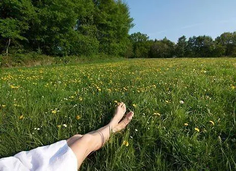 & Restaurant Westerwaldgrill 3*